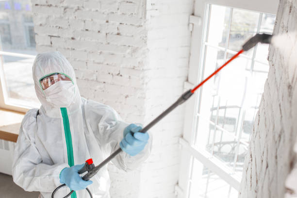 Best HVAC Mold Inspection and Cleaning  in Ponderosa Pine, NM